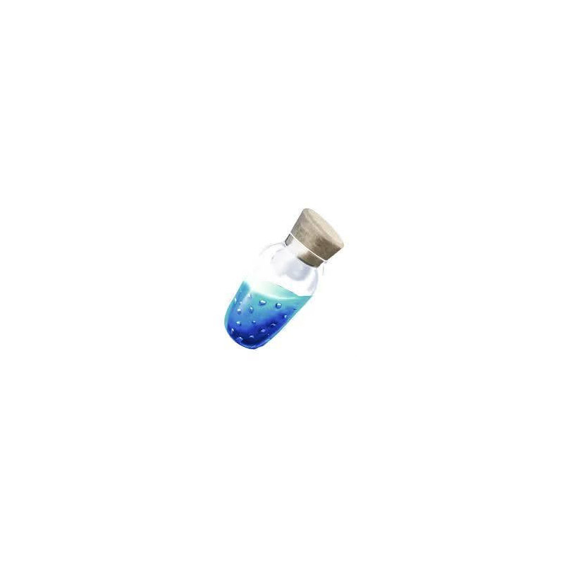 Petite Potion de Bouclier