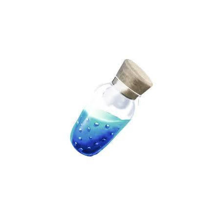 Petite Potion de Bouclier